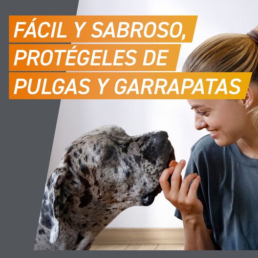 Frontpro Comprimidos Mastigáveis Antiparasitários para cães, , large image number null